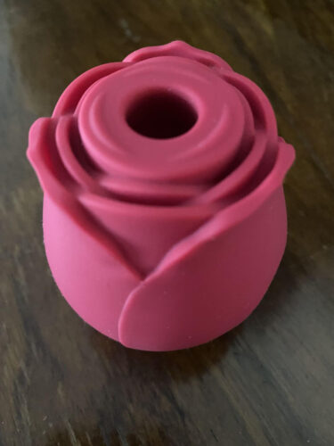 2022 Upgraded Rose Toy for Women with 10 Gears photo review