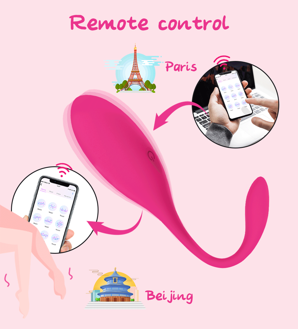 Lovense Lush 2 remote control is possible