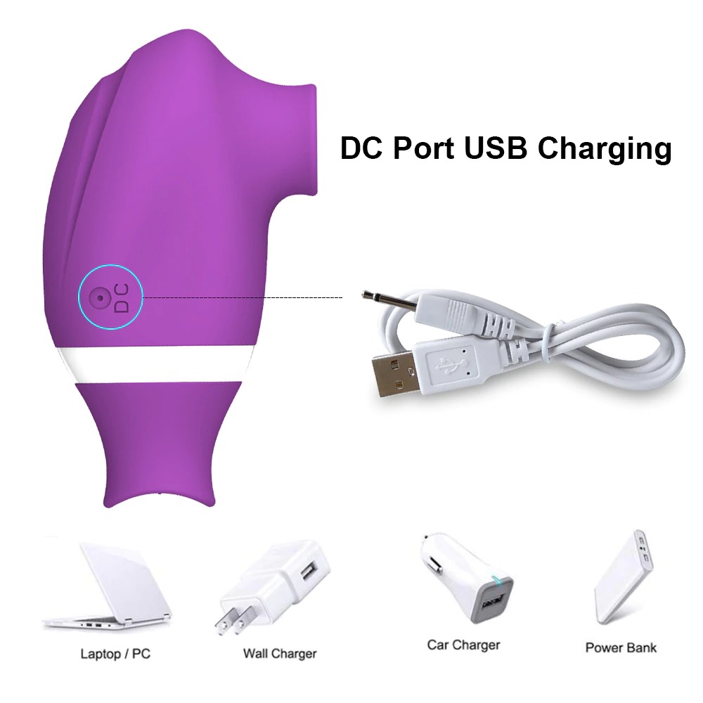 adult rose toy DC prot usb charging