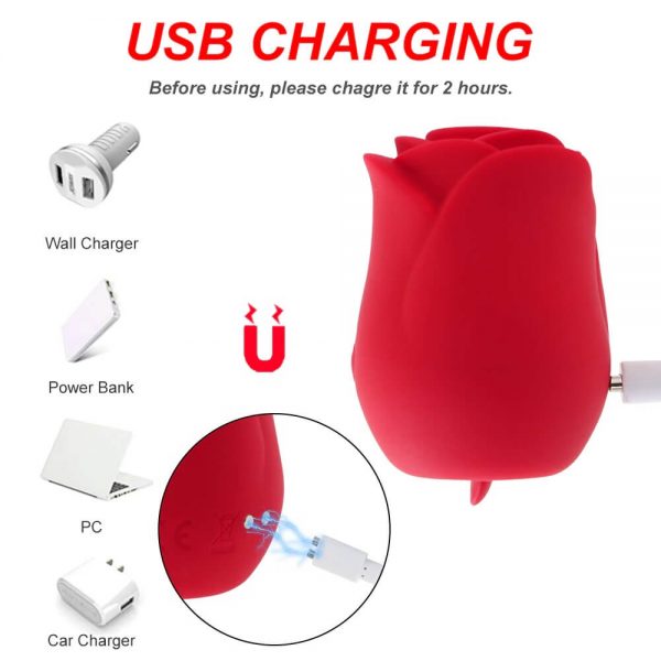 Rosebud Toy USB Charging
