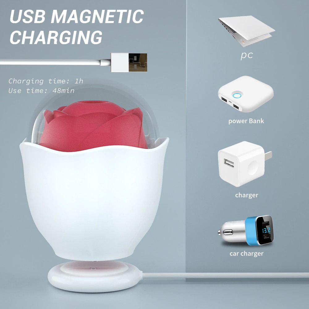 rose flower nipple sucker usb magnetic charging