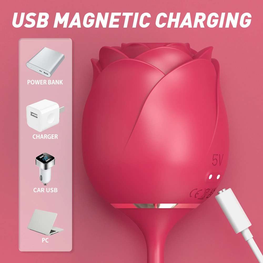 2 in 1 rose toy red rose using usb magnetic charging