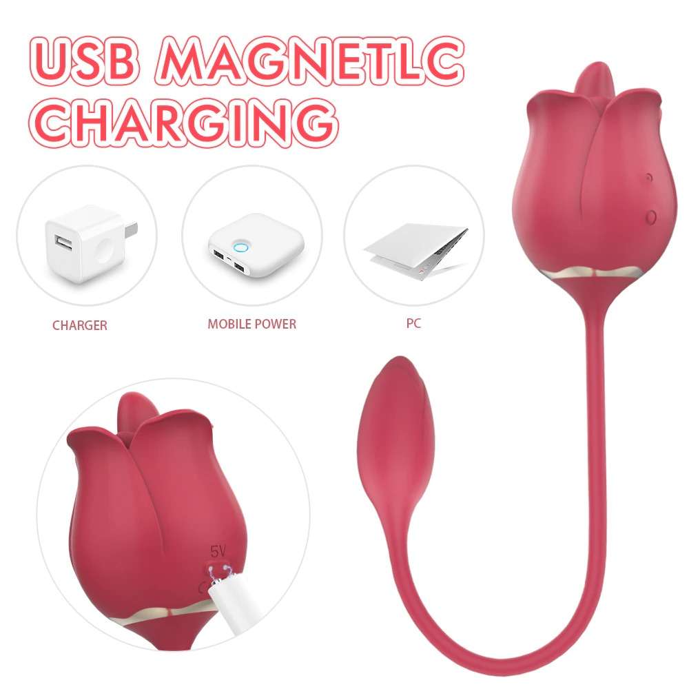 2 in 1 rose toy usb magnetic charging