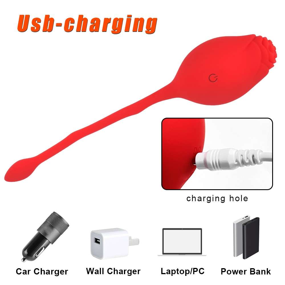 rose toy 2 in 1 usb charging