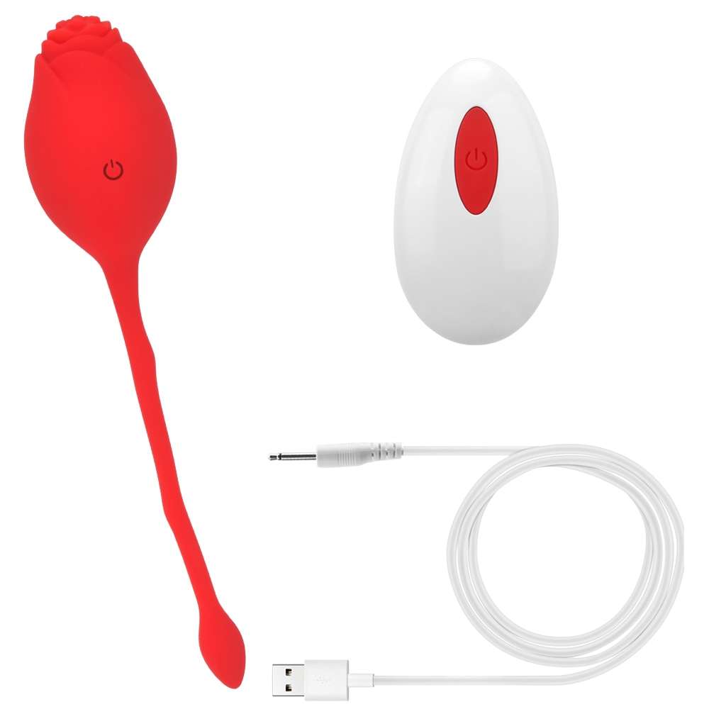rose toy 2 in 1 with usb cable and remote control