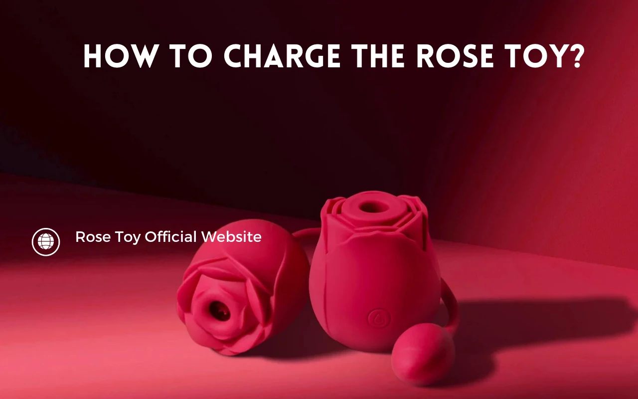 How to Charge The Rose Toy
