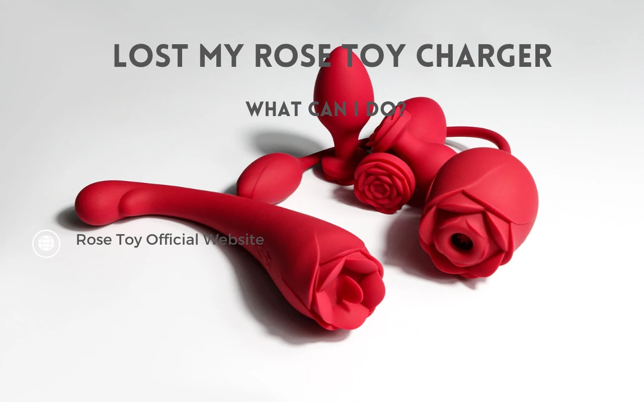 Lost My Rose Toy Charger What Can I Do