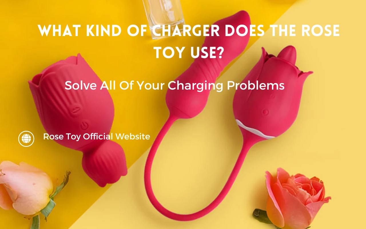 What Kind Of Charger Does The Rose Toy Use